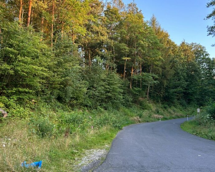 Fahndungsdruck zu hoch – Tatverdächtiger stellt sich nach Leichenfund im Wald der Polizei Fahndungsdruck zu hoch – Tatverdächtiger stellt sich nach Leichenfund im Wald der Polizei