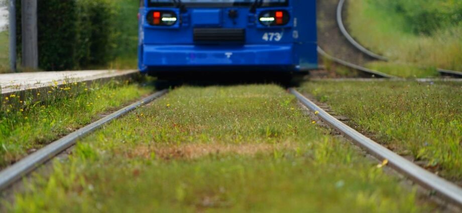 Haltestelle Niederkaufungen: Beim Aussteigen angerempelt endet mit Schlag ins Gesicht