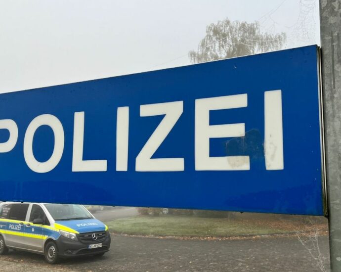 Kritik an AfD: Politische Plakate in Kaufungen beschädigt – Staatsschutz ermittelt