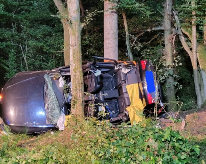 Vier Menschen sterben bei Unfall nahe Reinhardshagen Vier Menschen sterben bei Unfall nahe Reinhardshagen