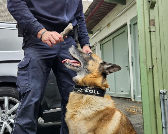Zollhund Samy begeistert Besucher beim Aktionstag in Kassel