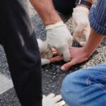 Aktivisten kleben sich im Büro von Hessen Mobil in Osthessen fest