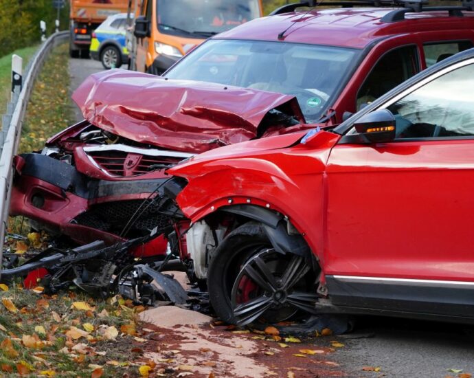 Vöhl: 5 Verletzte nach Unfall auf B252 – Hund kommt ums Leben Vöhl: 5 Verletzte nach Unfall auf B252 – Hund kommt ums Leben