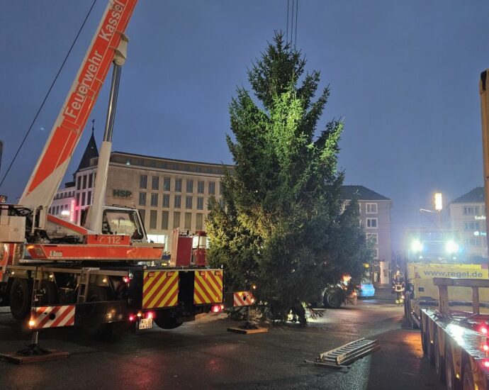 KS: Weihnachtsbaum „Marie“ auf dem Königsplatz aufgestellt