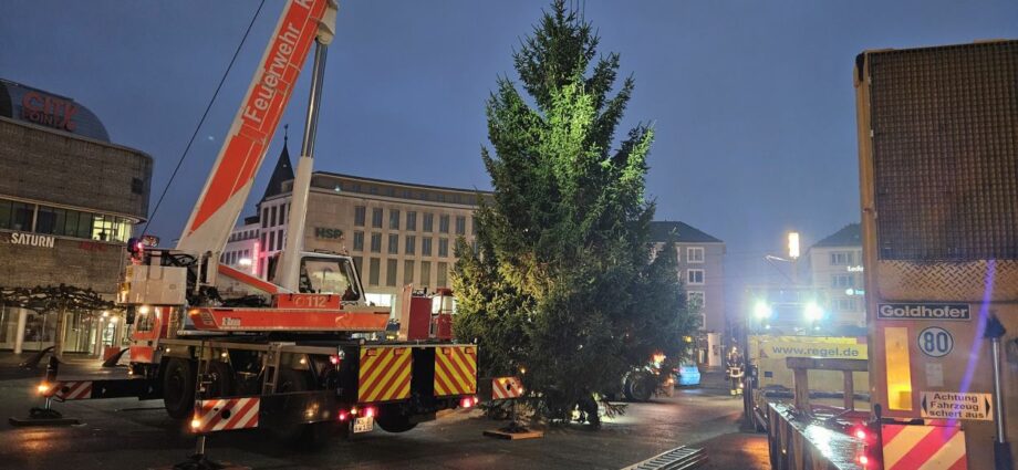 KS: Weihnachtsbaum „Marie“ auf dem Königsplatz aufgestellt KS: Weihnachtsbaum „Marie“ auf dem Königsplatz aufgestellt