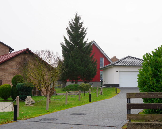 Der Kasseler Weihnachtsbaum kommt dieses Jahr aus Oberlistingen Der Kasseler Weihnachtsbaum kommt dieses Jahr aus Oberlistingen