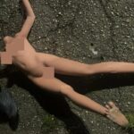 Schaufensterpuppe löst Wasserrettungseinsatz am Rheinufer aus