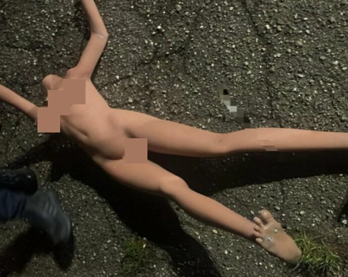 Schaufensterpuppe löst Wasserrettungseinsatz am Rheinufer aus