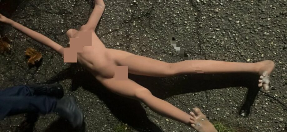 Schaufensterpuppe löst Wasserrettungseinsatz am Rheinufer aus