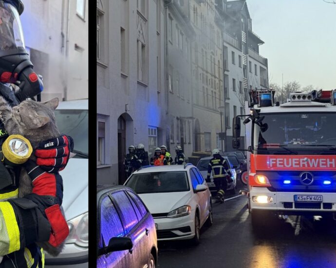 Feuerwehr rettet Katze aus brennender Wohnung in Kassel Feuerwehr rettet Katze aus brennender Wohnung in Kassel