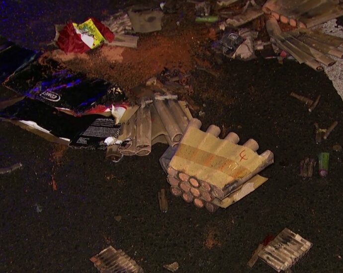 Hund flüchtet wohl vor Böller in die Bahn