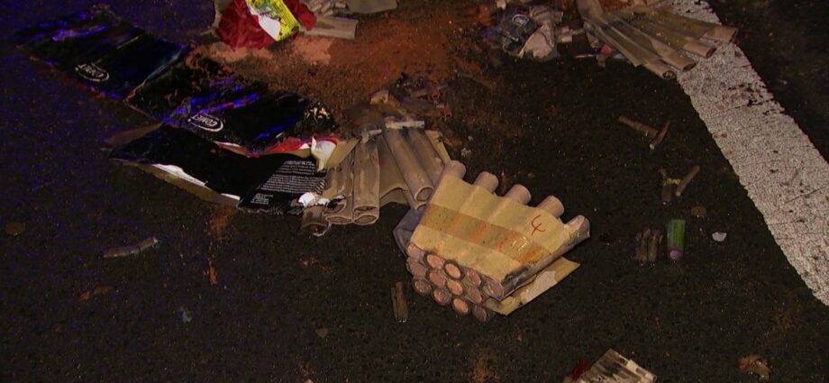 Hund flüchtet wohl vor Böller in die Bahn