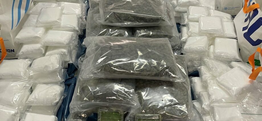 Schlag gegen Drogenhandel: Polizei stellt Hunderte Kilo Drogen sicher