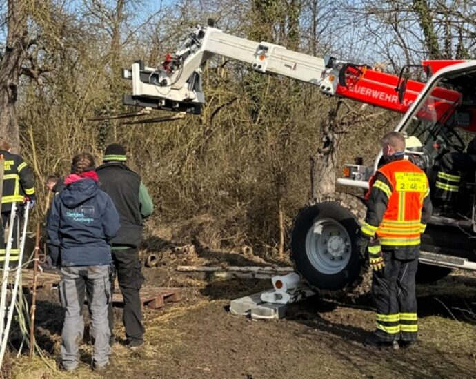 Pferd versinkt in schlammigem Boden – Rettungseinsatz in Niederzwehren