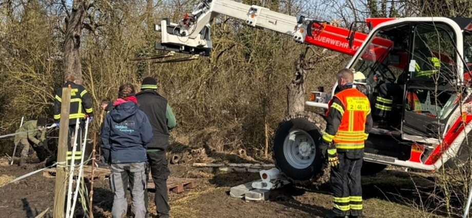 Pferd versinkt in schlammigem Boden – Rettungseinsatz in Niederzwehren