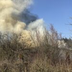 Nach Brand am Sonntag: Wieder Feuer im Kleingartenverein Fackelteich