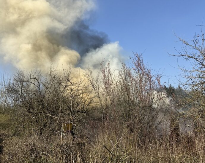 Nach Brand am Sonntag: Wieder Feuer im Kleingartenverein Fackelteich Nach Brand am Sonntag: Wieder Feuer im Kleingartenverein Fackelteich