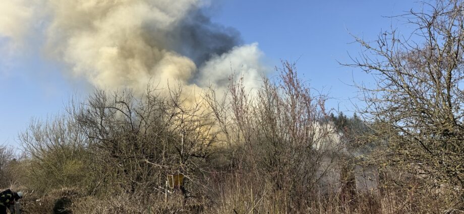 Nach Brand am Sonntag: Wieder Feuer im Kleingartenverein Fackelteich