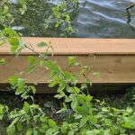 Ungewöhnlicher Fund in Mühlheim – Wer vermisst einen Sarg?