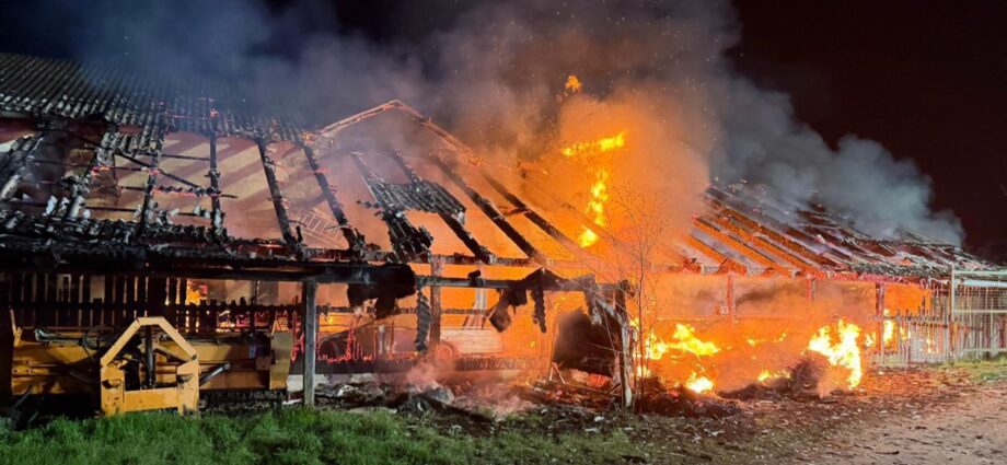 Bad Sooden-Allendorf: Ehemalige Stadtgärtnerei in Vollbrand Bad Sooden-Allendorf: Ehemalige Stadtgärtnerei in Vollbrand