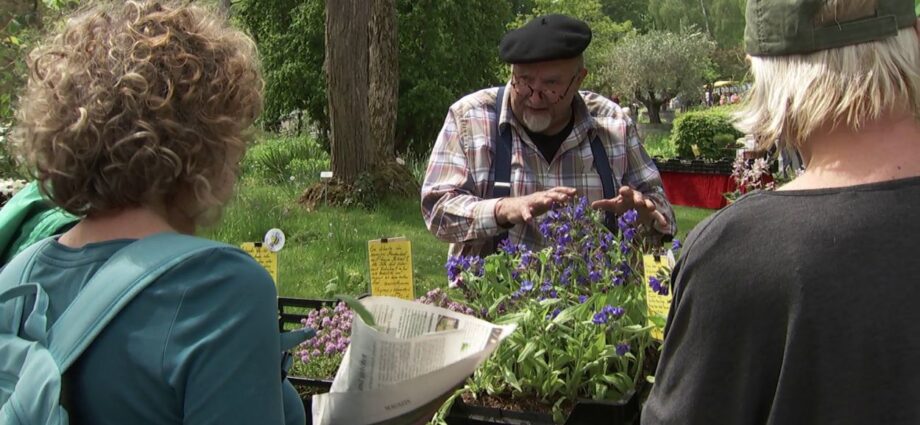 Pflanzenbörse lockte zahlreiche Besucher in den Botanischen Garten nach Kassel Pflanzenbörse lockte zahlreiche Besucher in den Botanischen Garten nach Kassel