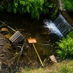 Hochzeitswald des Feuerwehrvereins Vaake verwüstet – Zeugen gesucht