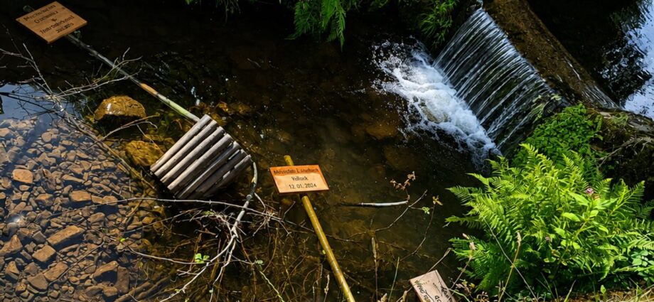 Hochzeitswald des Feuerwehrvereins Vaake verwüstet – Zeugen gesucht Hochzeitswald des Feuerwehrvereins Vaake verwüstet – Zeugen gesucht
