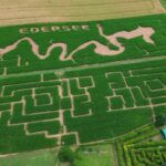 Irrgarten mit Edersee-Motiv: Maislabyrinth bei Vöhl-Basdorf startet in die Saison
