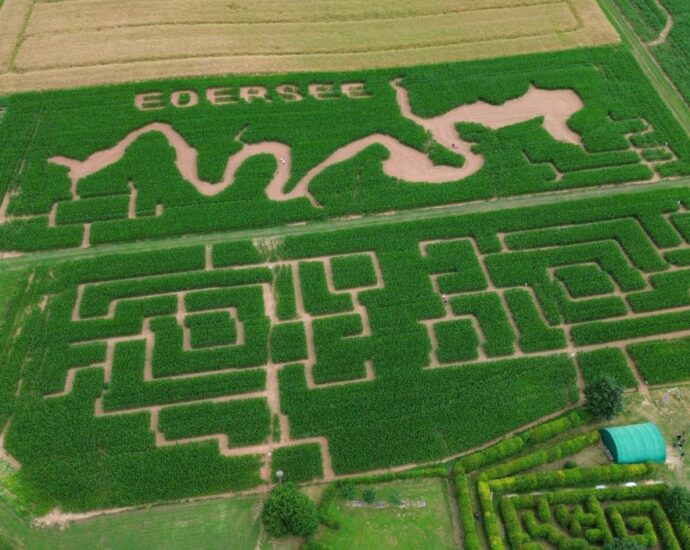 Irrgarten mit Edersee-Motiv: Maislabyrinth bei Vöhl-Basdorf startet in die Saison