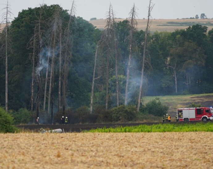 40 Hektar in Flammen – Feuerwehr, Landwirte und Hubschrauber kämpfen gegen Großbrand bei Wolfhagen