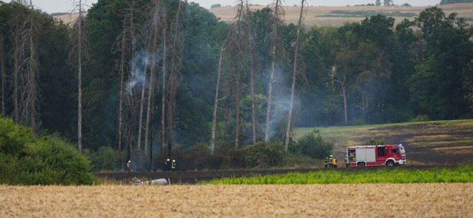 40 Hektar in Flammen – Feuerwehr, Landwirte und Hubschrauber kämpfen gegen Großbrand bei Wolfhagen 40 Hektar in Flammen – Feuerwehr, Landwirte und Hubschrauber kämpfen gegen Großbrand bei Wolfhagen