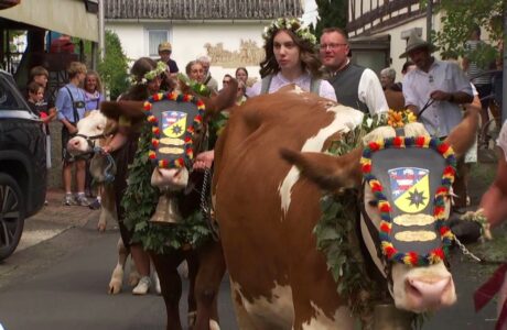 Bayerische Gemütlichkeit – Traditioneller Almabtrieb lockte zahlreiche Besucher nach Kleinern