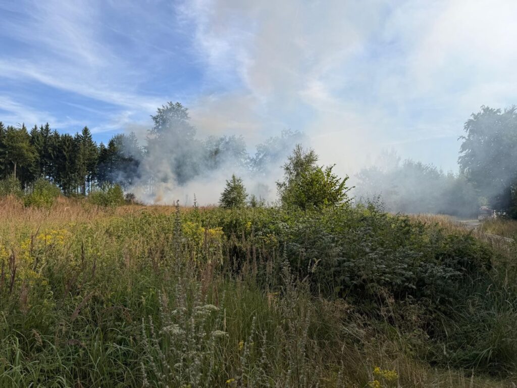Waldbrand nach Mäharbeiten im Kaufunger Wald