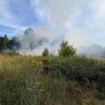 Waldbrand nach Mäharbeiten im Kaufunger Wald