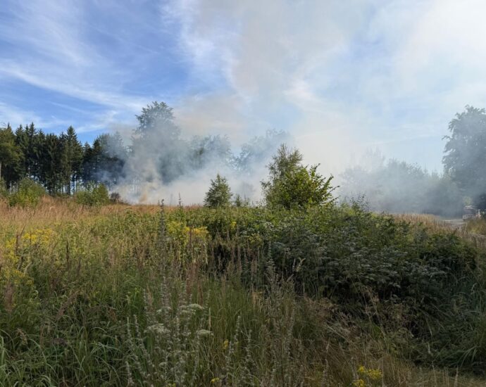 Waldbrand nach Mäharbeiten im Kaufunger Wald