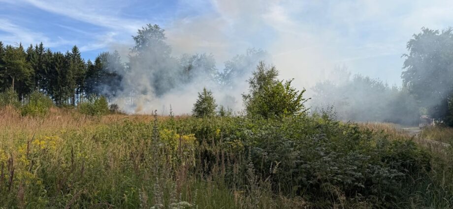 Waldbrand nach Mäharbeiten im Kaufunger Wald