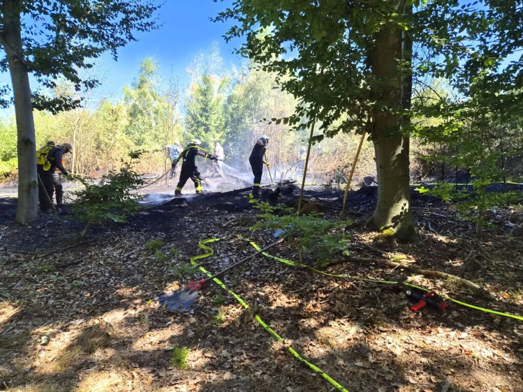 Erneut Waldbrand in Nordhessen: Rund 3.000 Quadratmeter Wald brannten in Körle-Wagenfurth Erneut Waldbrand in Nordhessen: Rund 3.000 Quadratmeter Wald brannten in Körle-Wagenfurth