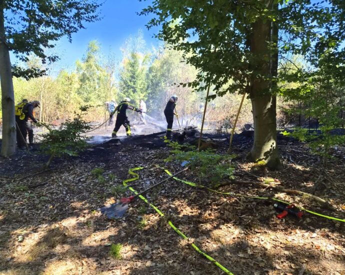 Erneut Waldbrand in Nordhessen: Rund 3.000 Quadratmeter Wald brannten in Körle-Wagenfurth