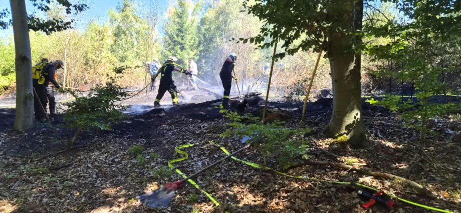 Erneut Waldbrand in Nordhessen: Rund 3.000 Quadratmeter Wald brannten in Körle-Wagenfurth Erneut Waldbrand in Nordhessen: Rund 3.000 Quadratmeter Wald brannten in Körle-Wagenfurth