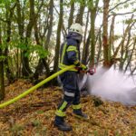 Flächenbrand bei Niedenstein: Feuerwehr verhindert Übergreifen auf Wald
