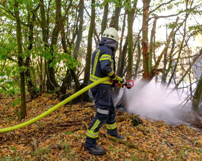 Flächenbrand bei Niedenstein: Feuerwehr verhindert Übergreifen auf Wald
