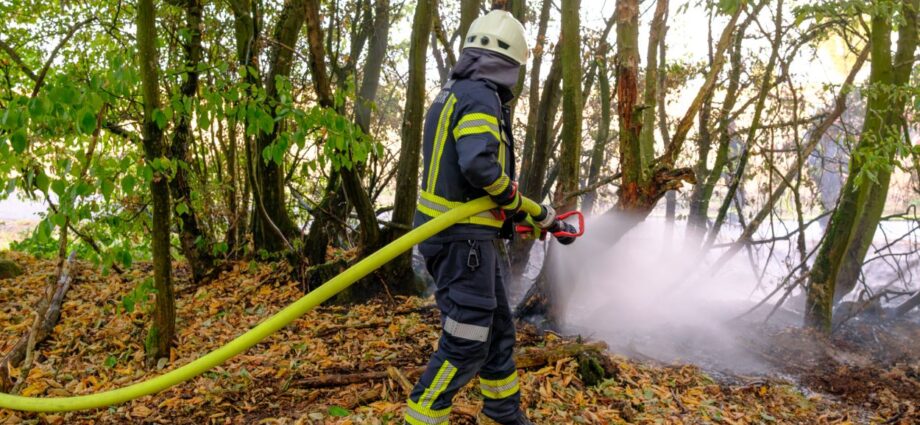 Flächenbrand bei Niedenstein: Feuerwehr verhindert Übergreifen auf Wald Flächenbrand bei Niedenstein: Feuerwehr verhindert Übergreifen auf Wald