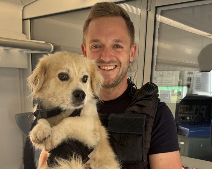 Hund macht sich aus dem Staub – und nimmt den Regionalexpress