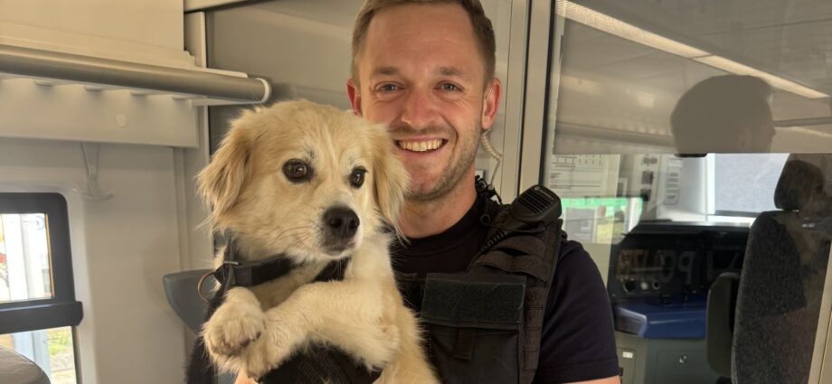 Hund macht sich aus dem Staub – und nimmt den Regionalexpress