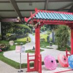 Japan mitten in Kassel: Herbstausstellung begeistert mit fernöstlichem Flair
