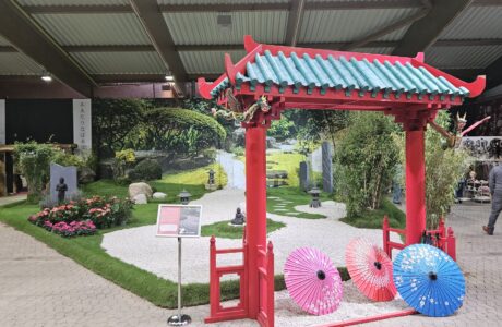 Japan mitten in Kassel: Herbstausstellung begeistert mit fernöstlichem Flair