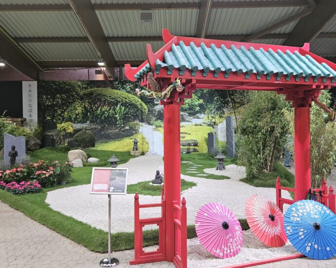 Japan mitten in Kassel: Herbstausstellung begeistert mit fernöstlichem Flair