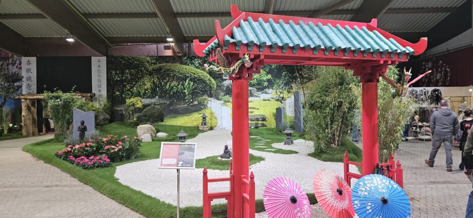 Japan mitten in Kassel: Herbstausstellung begeistert mit fernöstlichem Flair