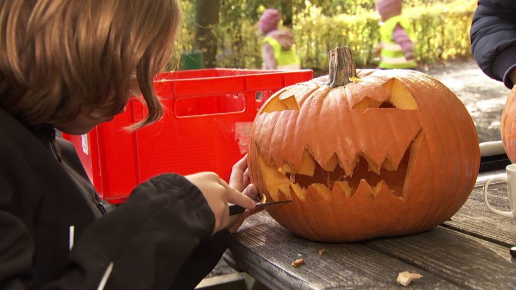 Schaurig-schöner Halloween-Spaß im Wildpark Knüll Schaurig-schöner Halloween-Spaß im Wildpark Knüll