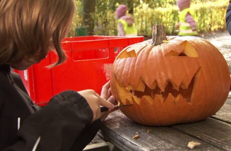 Schaurig-schöner Halloween-Spaß im Wildpark Knüll